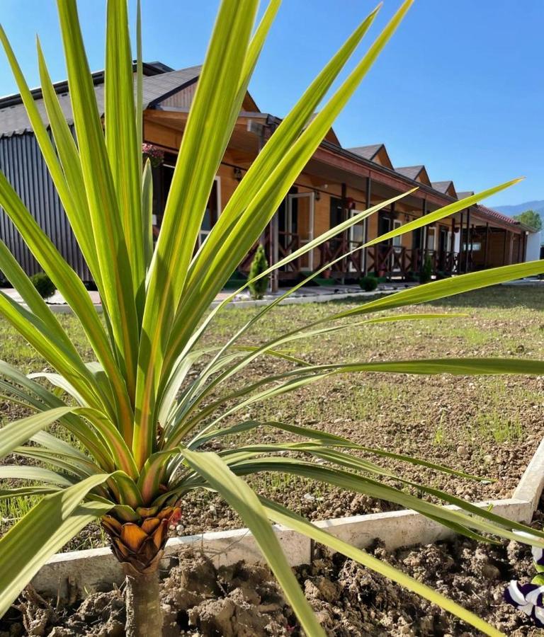 Hotel Askar Alakhadzi Exterior photo